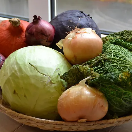 여관 Christian Jensen Kolleg Und Gaestehaeuser Breklum